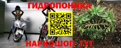 прущие крисы Кулебаки