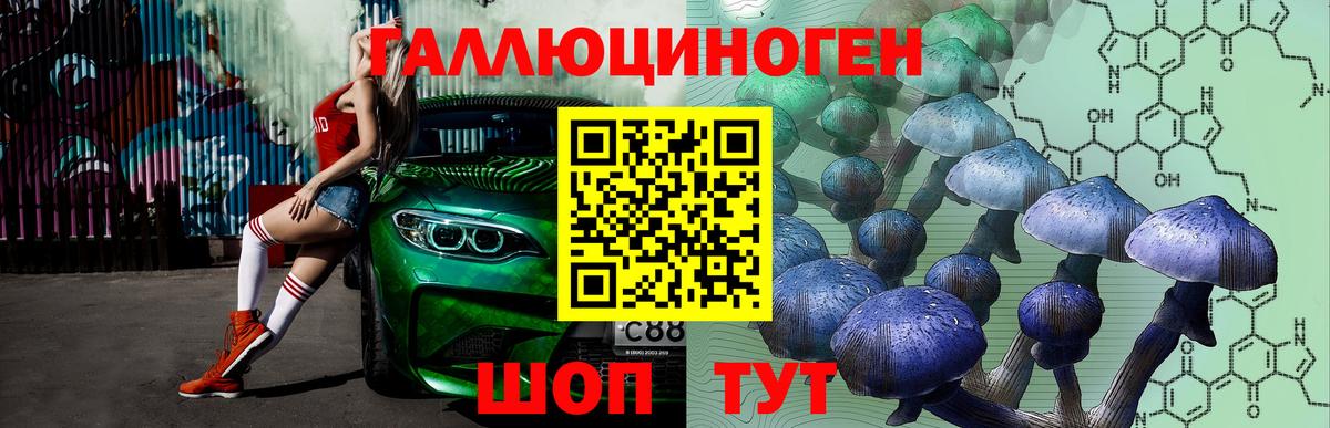 закладки  Псилоцибиновые грибы Magic Shrooms  Вход с VPN  Екатеринбург 